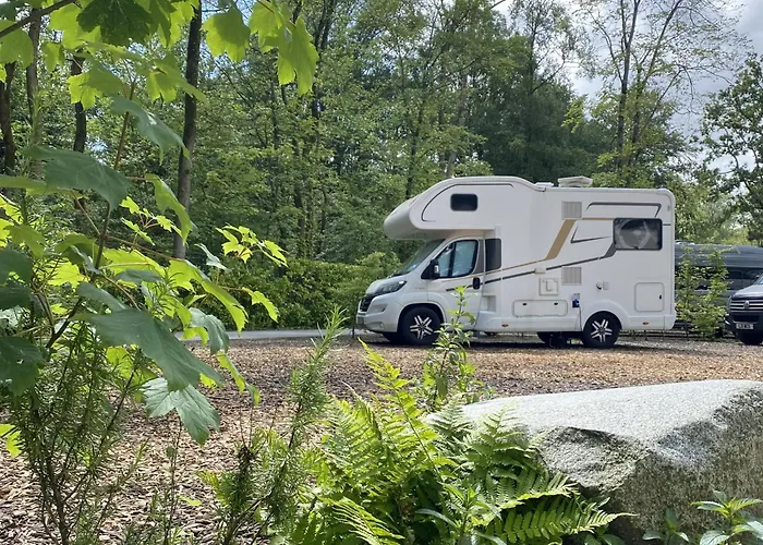 Camping Vliegenbos